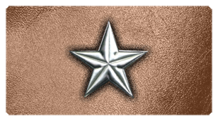 DSC700 430 SL BZ Star Silver Bronze